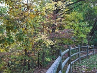 Rutger's Gardens 003